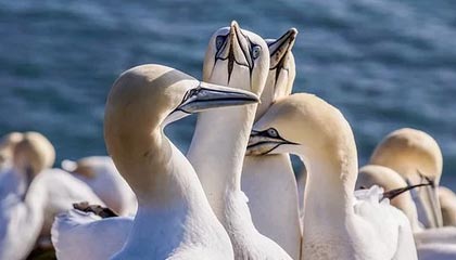 Kaiyun官方登录入口-英雄联盟S12总决赛决赛激战正酣，现场气氛火爆，s12总决赛lpl