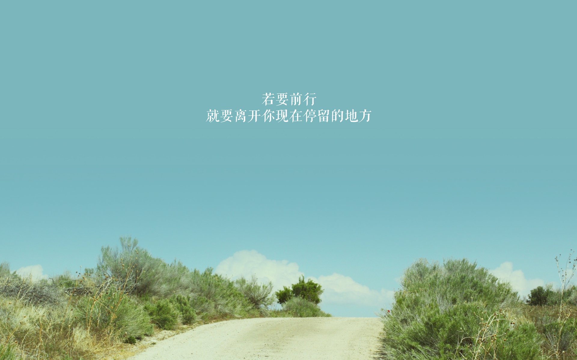 _大型主题公园：娱乐+运动一体化的欢乐赛事_，主题公园运营