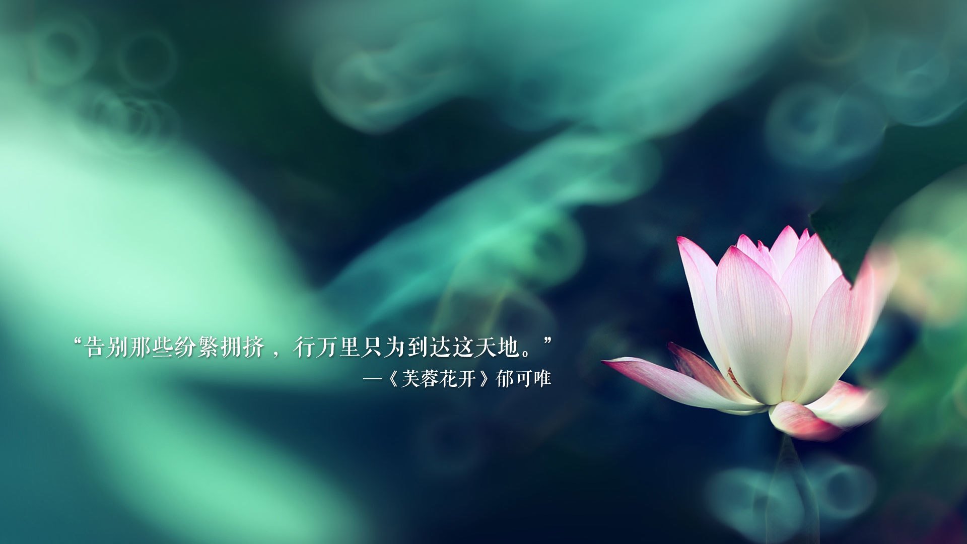 _篮网持续领跑联盟，状态火热_，篮网领先