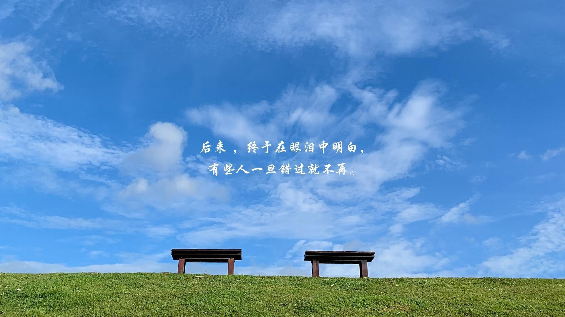 _运动巡游节：沿途赏景、体验多样运动_，游览运动