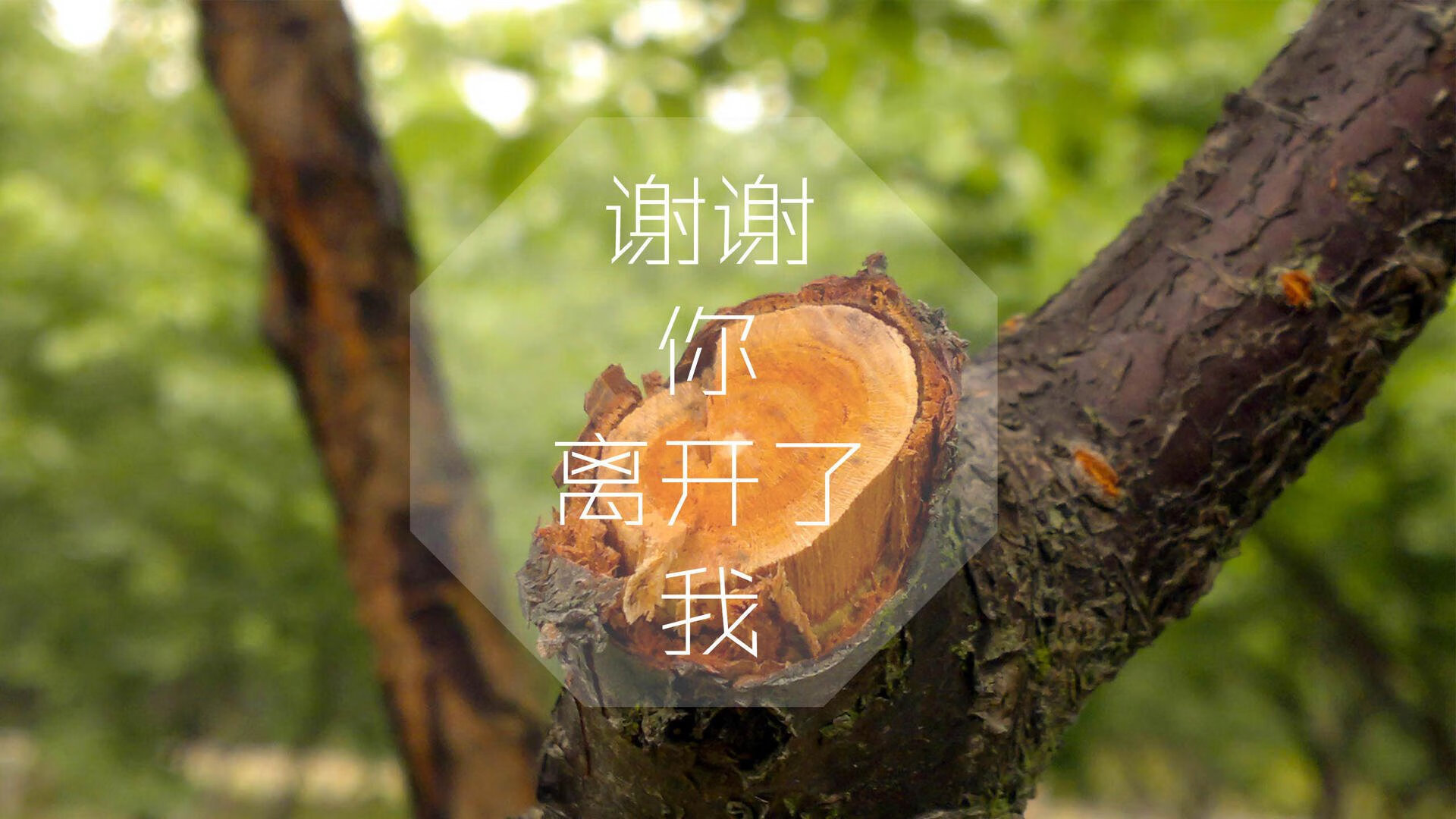 kaiyun网站-意甲战队备战全力以赴，冲击冠军荣誉，意甲争冠