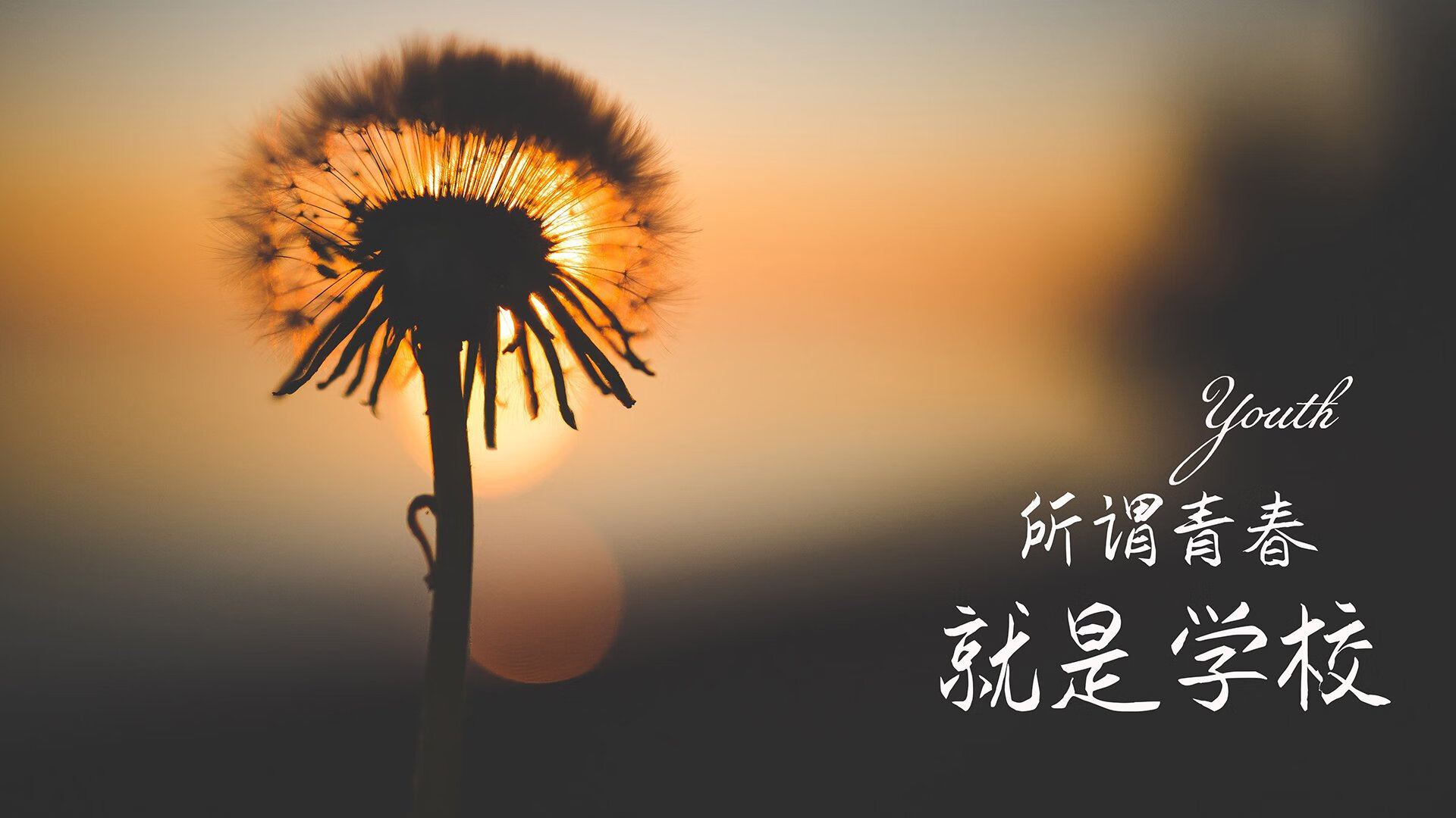 kaiyun体育综合-四国蝶泳划频对比揭示节奏差异，蝶泳四部分