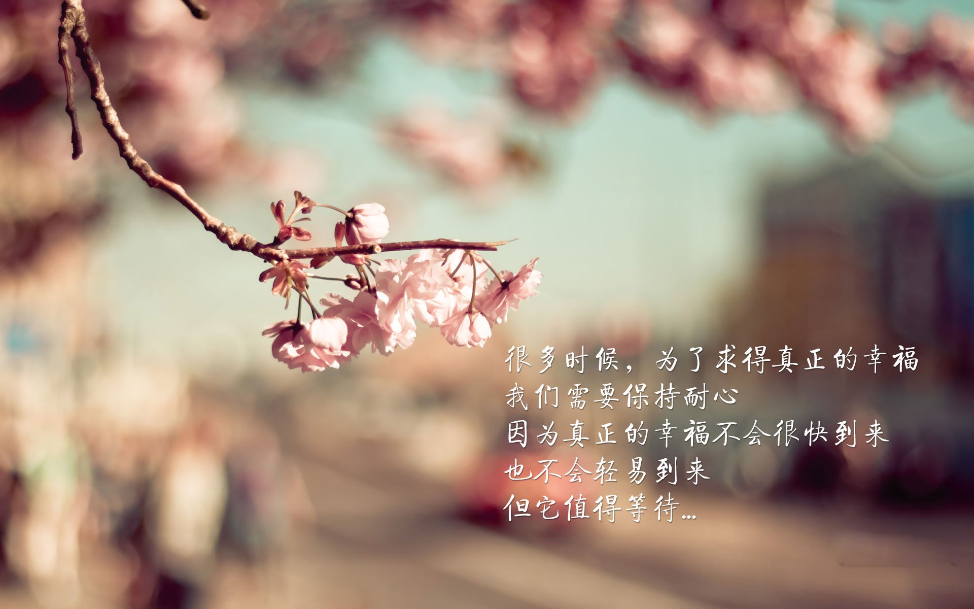美洲杯逆境中崛起：英雄辈出的时刻！，“美洲杯”