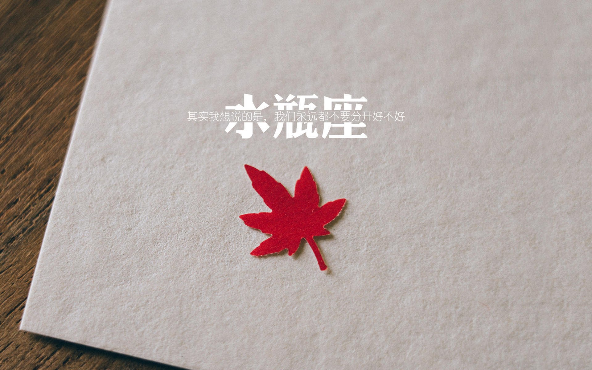 开云入口-麦金托什冲线瞬间成为焦点，麦金托什机